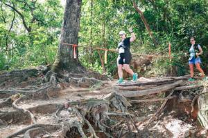 BIB: 
                            <button type="button" onclick="openModal(27720128)" class="btn btn-primary btn-sm float-right btn-popup" data-toggle="modal" data-target=".modal-high-quality">
                        <i class="fas fa-shopping-cart"></i> Add to Cart
                    </button>
                                            <button type="button" onclick="isThisMe(27720128, true)" class="btn btn-success btn-sm float-right btn-popup btn-isme hidden" data-toggle="tooltip" data-placement="bottom" title="นี่คือรูปของคุณใช่ไหม คลิกที่นี่เพื่อเอาเข้าอัลบั้ม">
                        <i class="fas fa-plus"></i> Add to album
                    </button>
                    <button type="button" onclick="isThisMe(27720128, false)" class="btn btn-warning btn-sm float-right btn-popup btn-isnotme hidden">
                        <i class="fas fa-ban"></i> Remove from album
                    </button>